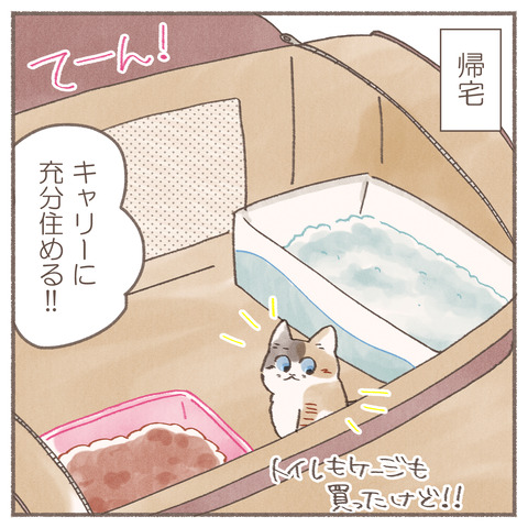 続々ハナちゃん16