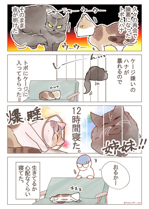 シャーシャー①リサイズ