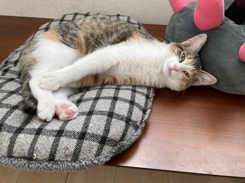 B93406AC-D8D3-4EDD-A69E-4FBA22299706