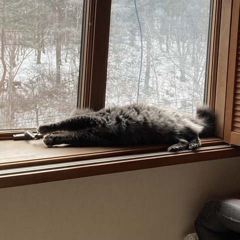 A7CE1C78-B639-48C8-BFE7-107EDFEE761F