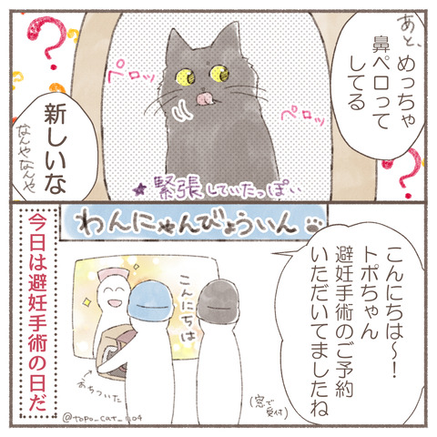トポ手術2