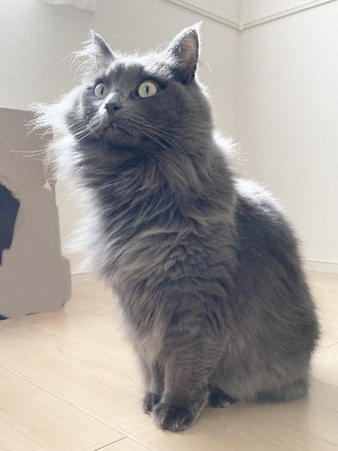 ED0993FF-1E8F-4DA8-B689-C574CDE40EFB