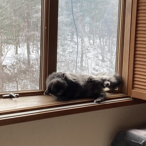 8917D099-DF79-4423-8E00-30FC084FFED8