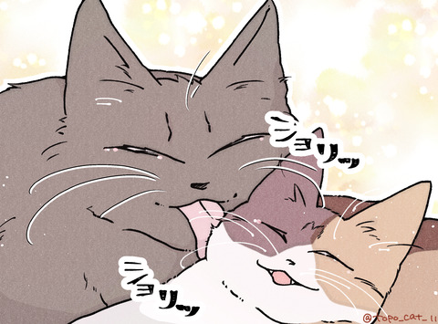ブログ用2トポ愛情②