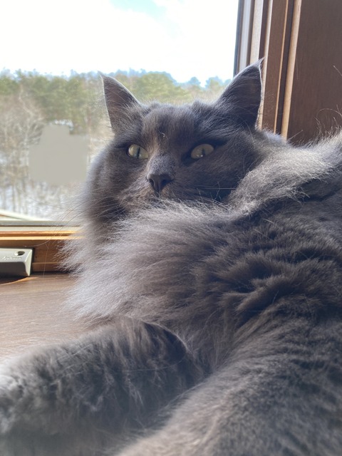 E0BE8061-6947-499A-8CC6-2AA452C488AF