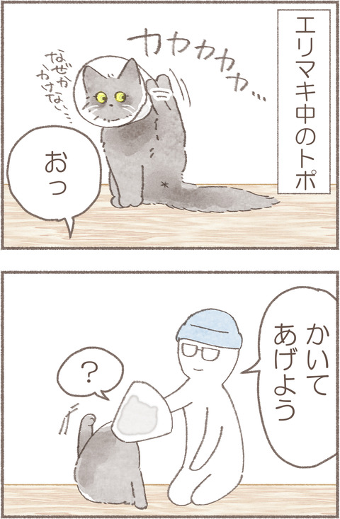 5トポえりまき3.3