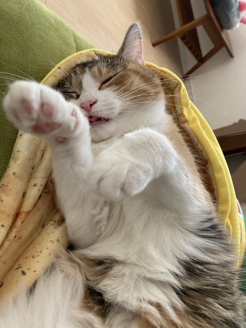 543A7041-0C94-4900-BA78-51DDD865DD35