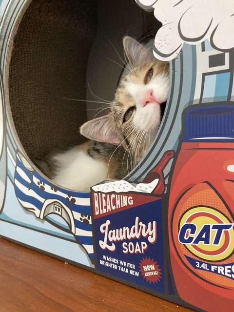 77ED440F-7D1E-4A6C-8CD8-C8BC464C62D9