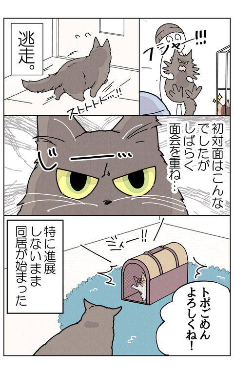 トポハナ同居②リサイズ