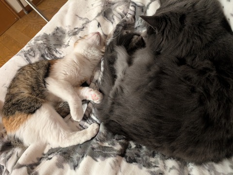 D11428B4-EC60-426E-98D6-6C976813F8D3