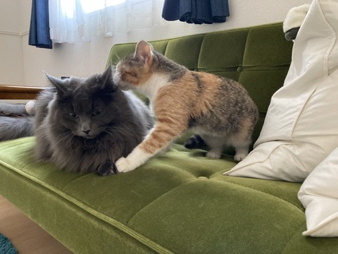 EEA34EB0-4C25-467B-96CC-B9832B9C0D71