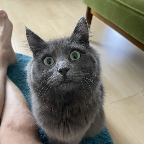 1C7778F0-7932-4DA9-8C0D-F4CF1C131050