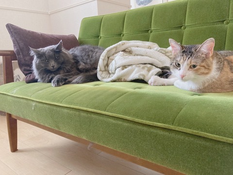 A5C3BB7E-997C-4320-9EBF-2A5F1F24EA09