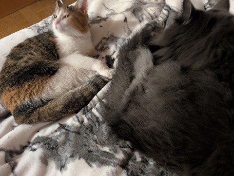 5B6C5CEE-7835-4C18-A1D7-BA3AFBEEC3AB