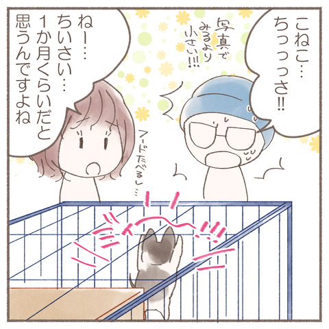 続々トポハナちゃん5