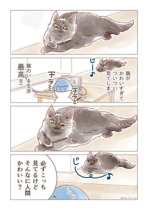 トポ深淵A4