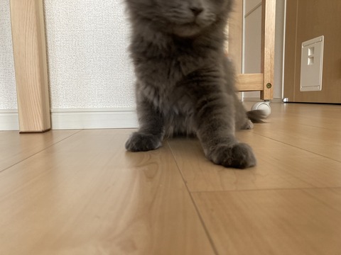 DFC5E526-D9BE-462B-9D8E-BB3C705D4DF3