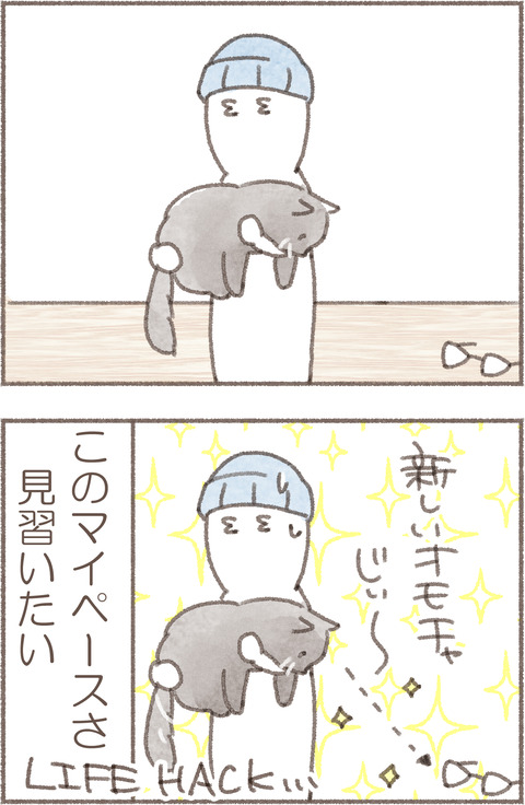 1.トポめがね4