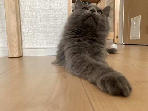 86A2FD00-3077-4817-AA9F-46AD59BDB6C7