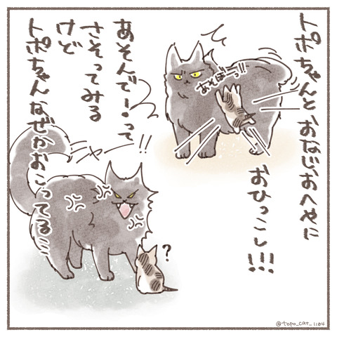 ハナ物語12