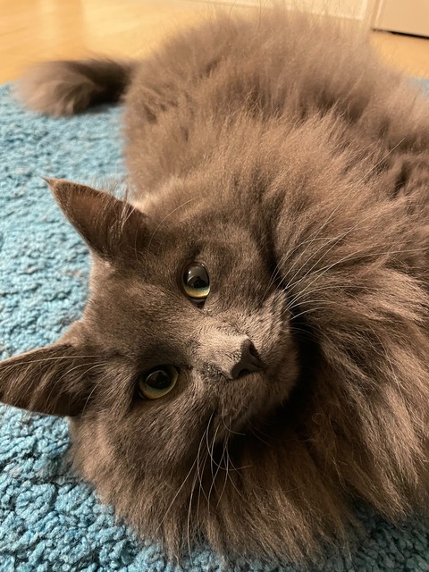 DE4C7FED-E3F3-4BD3-BA6D-E95E2BE158DE