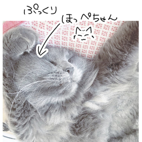 おまけ6.10①