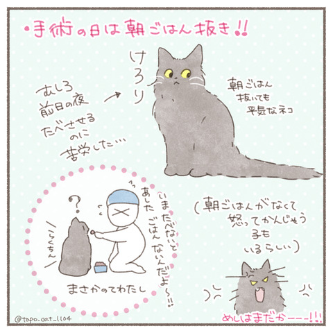 トポ手術9