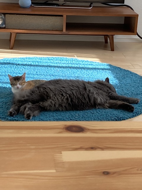 312DBBFB-51C1-4005-8377-A5F39152ECEC