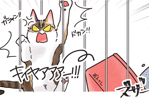 ブログ用7おちび⑨