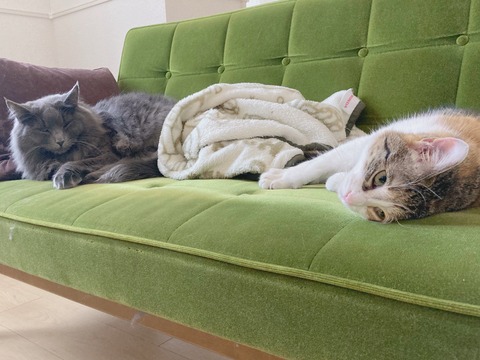 FEC37057-719E-4800-B2FF-2F4DED4992C1