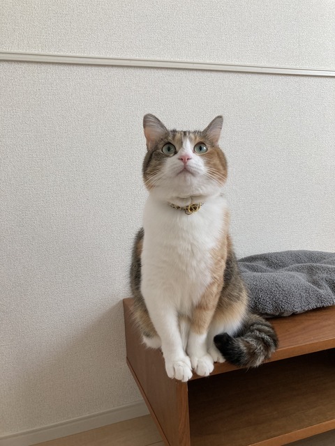 B7B089C5-1E54-495B-928C-6073AB31DBA4