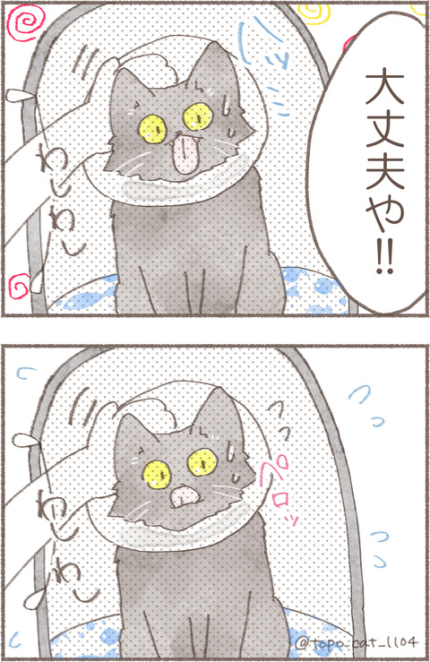 4.トポえりまき2.2