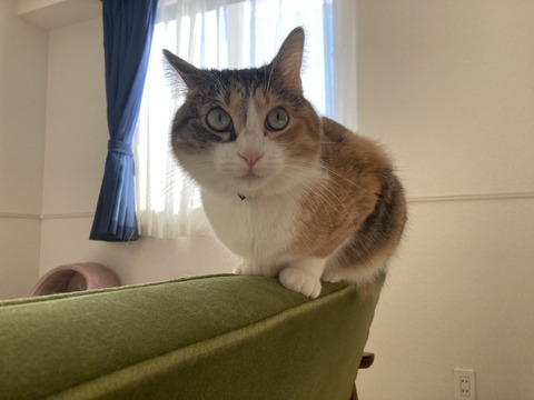 B4A4F349-850F-4B8B-951C-28A134F30364