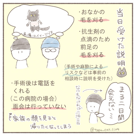 トポ手術3