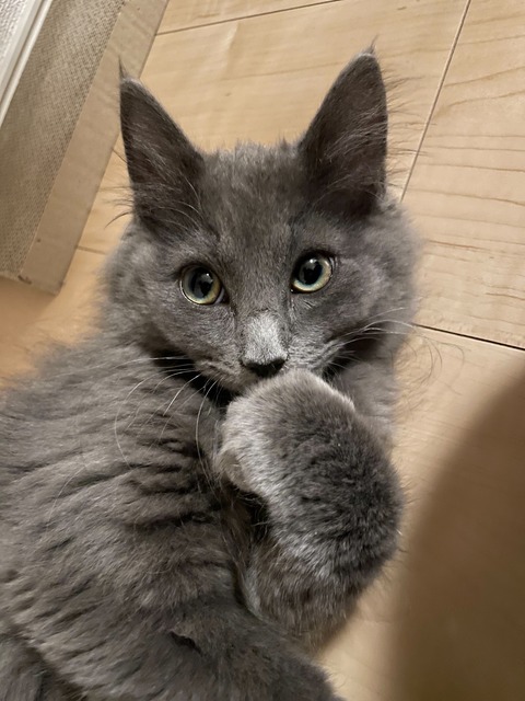 A63E8D29-83FD-4939-98A9-296017FF41FD