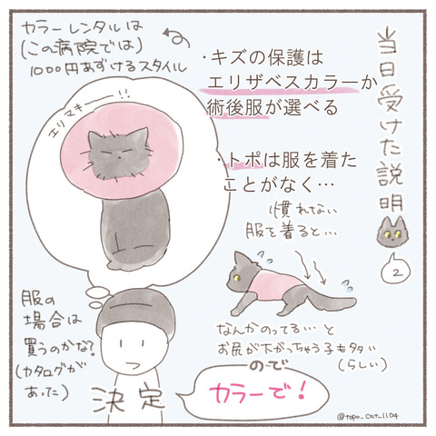 トポ手術４