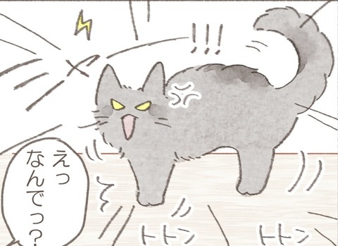 9CBDB0F1-4F87-46C3-A325-4BE5CB556868