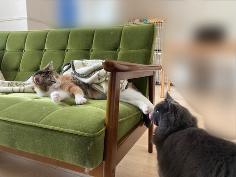 8016AEFC-0AC8-43C4-A6CE-5C18DA91A043