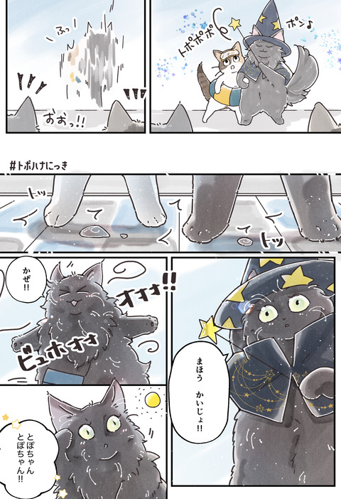 11海