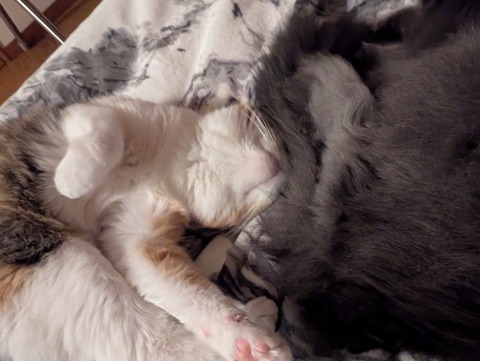 2C063317-9EE8-4909-A498-D326795A33DB