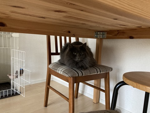 2723DB2C-7C47-452A-8BCD-6BCCC3FDFB88