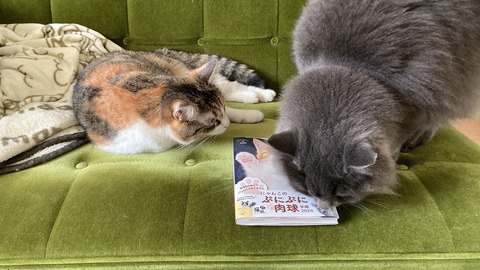 327A3C32-791B-48E6-AC7C-ED0F9304A7ED