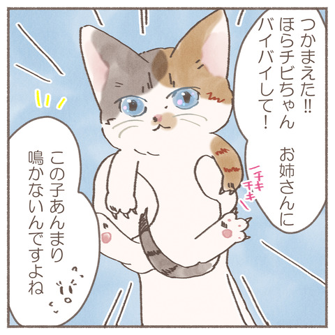 続々トポハナちゃん8