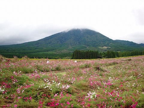 s-DSC01674.jpg