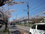 275e0a65.jpg