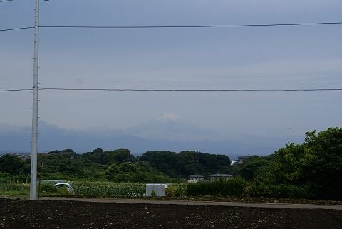 s-DSC02239.jpg