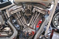 s-DSC01524.jpg