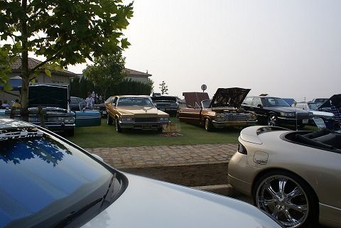 s-DSC08383.jpg