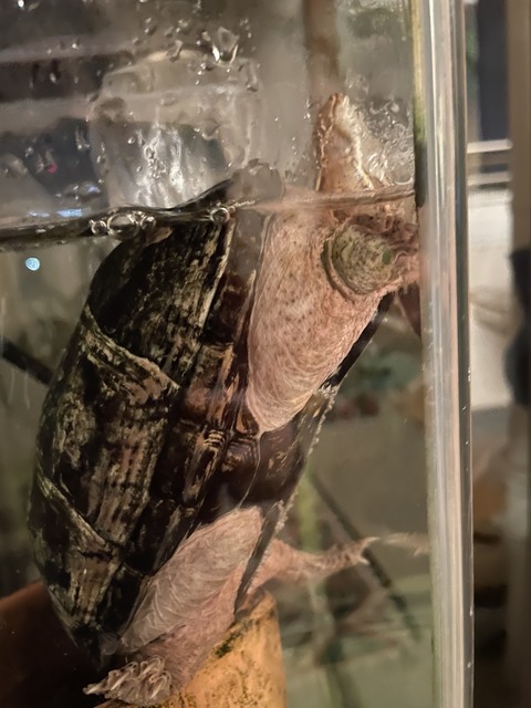 6567737B-FFC6-421E-AEE0-5330F58F27F8