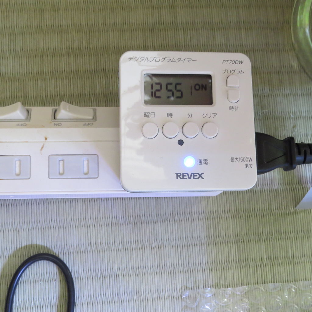 屋外から室内への引っ越し ミシシッピニオイガメ 虎ノ門虎之助のベランダ ラボラトリー Ft メダカ